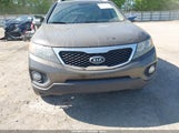 Miniaturka zdjęcia 6