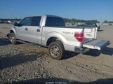 Ford F-150 Xlt 1FTFW1ETXEKF50805 снимка