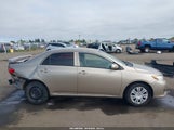 Toyota Corolla Le 1NXBU4EE6AZ283258 снимка