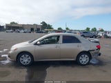 Toyota Corolla Le 1NXBU4EE6AZ283258 снимка