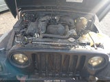 Jeep Wrangler Se 1J4FA29103P303980 снимка