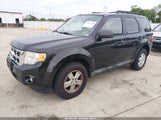 Ford Escape Xlt 1FMCU0D72BKA14462 снимка