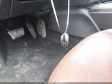 Miniaturka zdjęcia 11