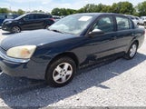 Chevrolet Malibu 1G1ZS52F95F138603 снимка