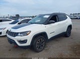 Jeep Compass Trailhawk 4X4 3C4NJDDB3JT480173 снимка