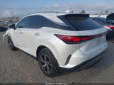 Miniaturka zdjęcia 3