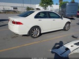 Acura Tsx JH4CL96907C018276 photo