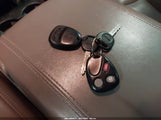 Miniaturka zdjęcia 11