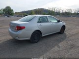 Toyota Corolla Le 2T1BU4EE5AC308121 снимка