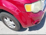 Ford Escape Xlt 1FMCU03158KB50137 снимка