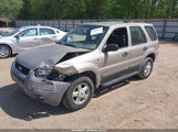 Ford Escape Xlt 1FMYU03111KF33231 снимка