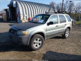 Ford Escape Xlt/Xlt Sport 1FMYU93176KC87006 снимка