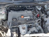 Honda Civic Lx-P 2HGFC4B08JH300051 снимка