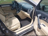 Honda Cr-V Ex 3CZRE3H58AG703511 снимка