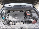 Miniaturka zdjęcia 10