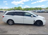 Honda Odyssey Ex-L 5FNRL5H65FB099848 снимка