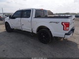 Ford F-150 Xlt 1FTEW1EP4GFD37665 снимка