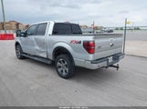 Ford F-150 Fx4 1FTFW1ET7DKE93641 снимка