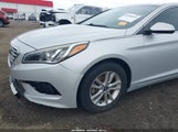Hyundai Sonata Se 5NPE24AF3GH294999 снимка