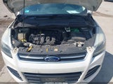 Ford Escape Titanium 1FMCU9J98EUE51028 fotografie