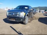 Ford F-150 Fx4/Harley-Davidson/King Ranch/Lariat/Platinum/Xl/Xlt 1FTFW1EV6AFD11546 photo