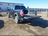 Ford F-150 Fx4/Harley-Davidson/King Ranch/Lariat/Platinum/Xl/Xlt 1FTFW1EV6AFD11546 fotografie