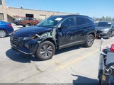 Hyundai Tucson Hybrid Blue KM8JBCD1XRU190524 photo