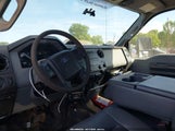 Miniaturka zdjęcia 8