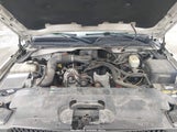 Chevrolet Silverado  Work Truck 1GCEC14X95Z317031 снимка