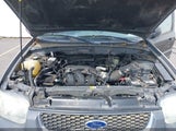 Ford Escape Xlt 1FMCU93133KA49949 снимка