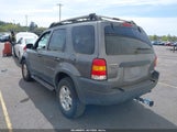 Ford Escape Xlt 1FMCU93133KA49949 снимка