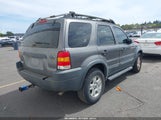 Ford Escape Xlt 1FMCU93133KA49949 снимка