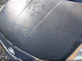 Nissan Altima 2.5 S 1N4AL21E68N437295 снимка