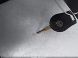 Miniaturka zdjęcia 11