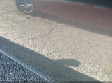 Miniaturka zdjęcia 6