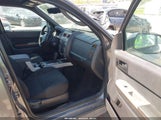 Ford Escape Xlt 1FMCU03G49KA50181 снимка