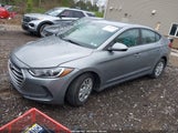 Miniaturka zdjęcia 2