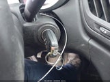 Miniaturka zdjęcia 11