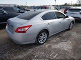 Nissan Maxima 3.5 Sv 1N4AA51E99C860702 снимка