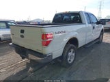 Ford F-150 Xlt 1FTEX1EM1DFC73941 снимка