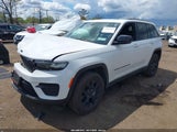 Jeep Grand Cherokee Altitude X 4X4 1C4RJHAG7SC320948 снимка