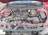 Honda Accord Lx 1HGCV1F16KA037993 photo