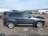 BMW X5 xDrive35I/xDrive35I Premium/xDrive35I Sport Activity 5UXZV4C59D0E10035 снимка