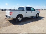Miniaturka zdjęcia 4