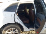 Audi Q5 2.0T Premium WA1L2AFP9GA114563 снимка