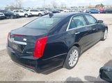 Cadillac Cts Standard 1G6AW5SX8F0119100 снимка