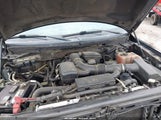 Ford F-150 1FTFW1EV0AFD01210 снимка