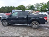 Ford F-150 1FTFW1EV0AFD01210 fotografie