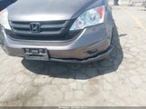 Honda Cr-V Se 5J6RE3H4XBL034315 снимка