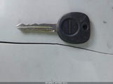 Miniaturka zdjęcia 11